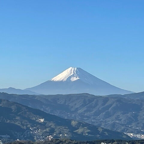 美しい自然と豊かな文化が息づく伊豆は、ドライブ旅行の目的地と