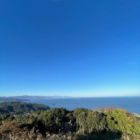 美しい自然と豊かな文化が息づく伊豆は、ドライブ旅行の目的地と