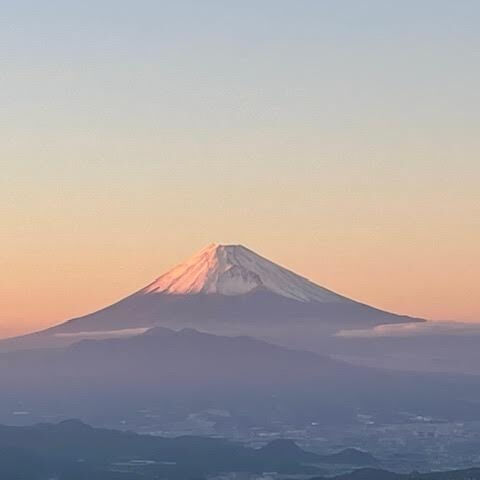 美しい自然と豊かな文化が息づく伊豆は、ドライブ旅行の目的地と
